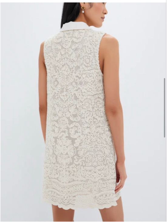 Tuckernuck Collier Tab White Crochet Sleeveless Mini Dress XL - Picture 3 of 7